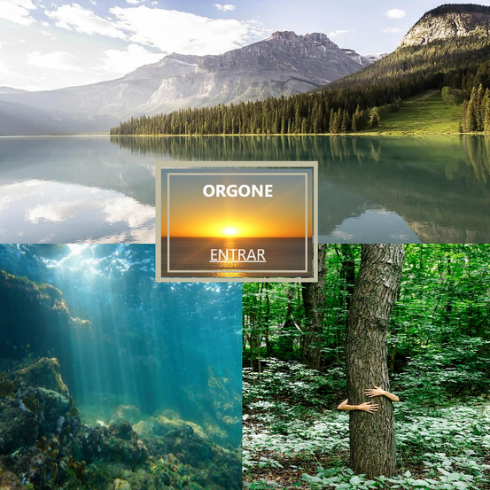 ORGONITE A.png